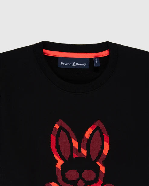Kids Apple Valley Crew Sweatshirt