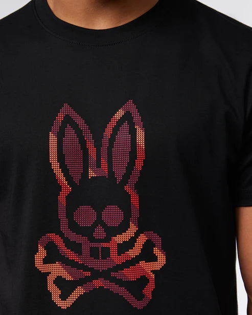 Mens Apple Valley Graphic Tee