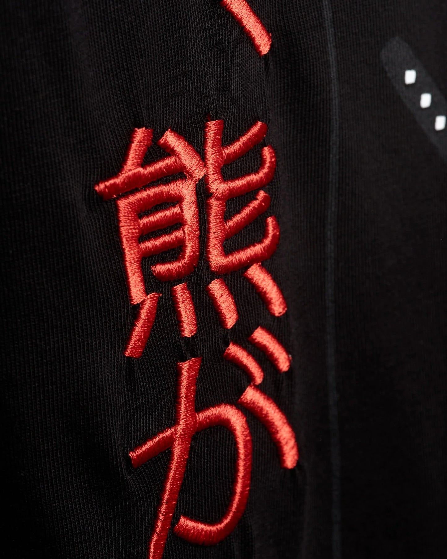 Kung Fu Polar Bear Oversized Graphic T-Shirt - Black