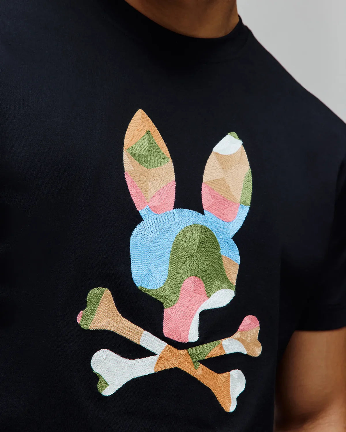 Mens ara graphic tee