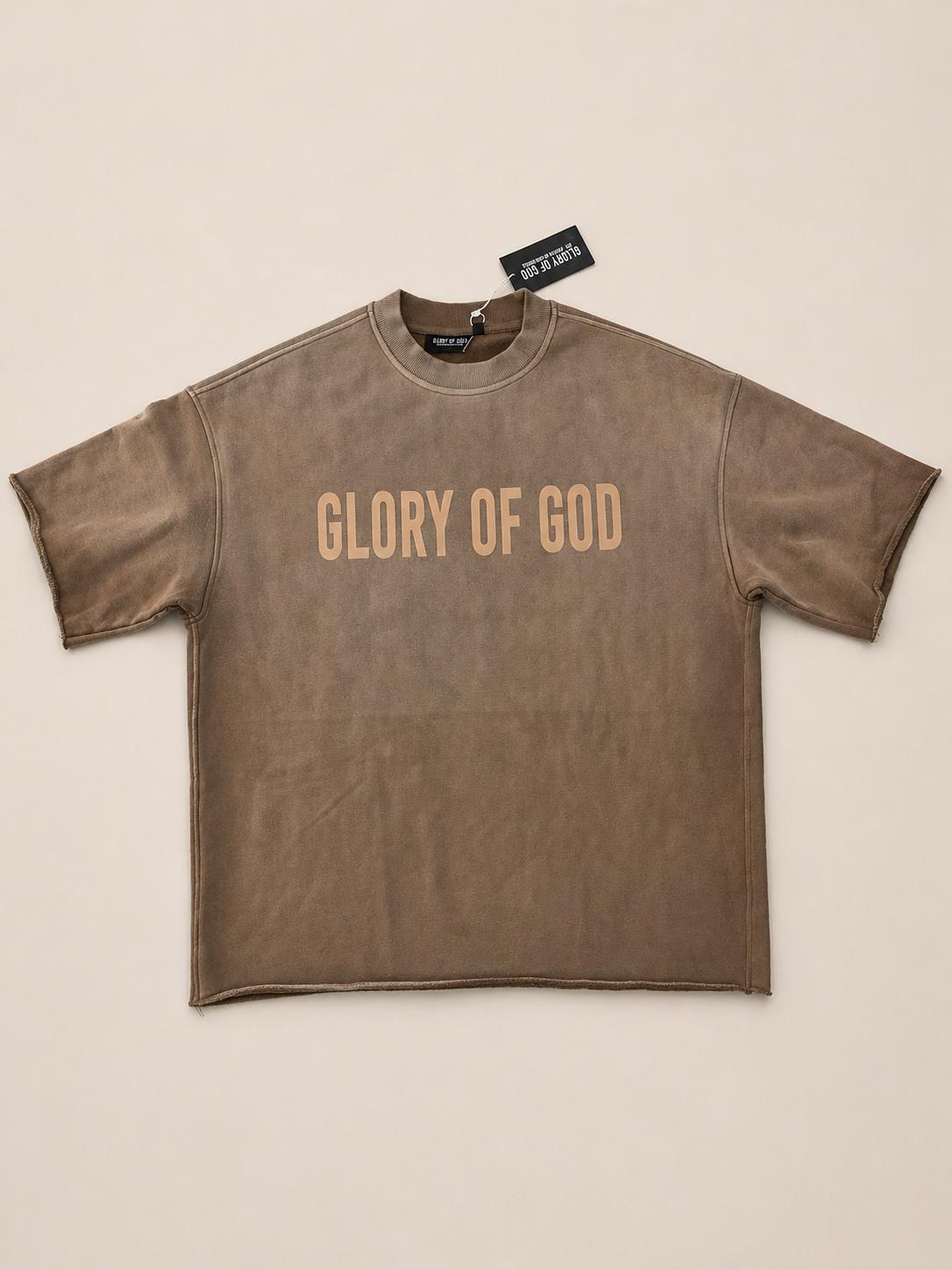 Glory of God – Oversized Washed Tee brown