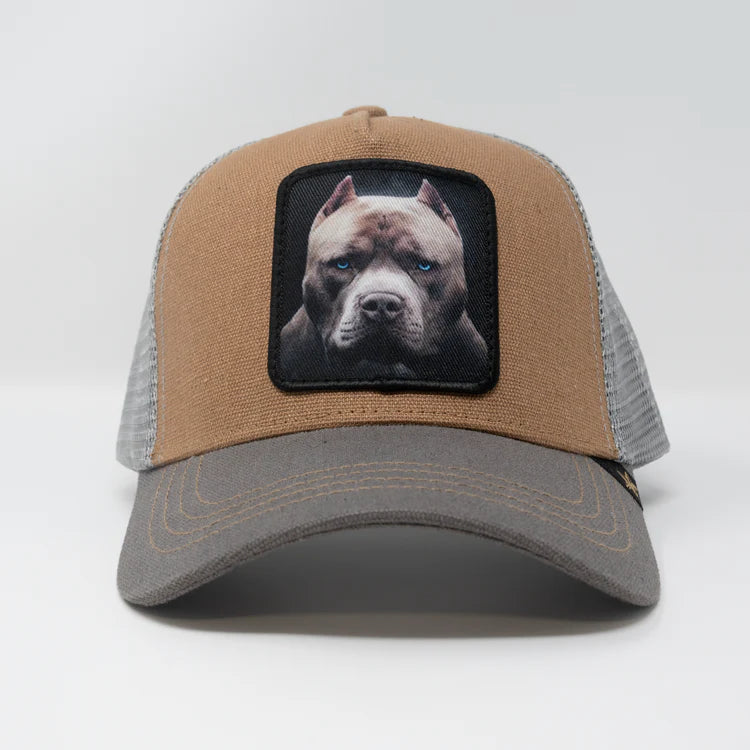 GOLD STAR HAT - PITBULL DOG TRUCKER HAT BROWN/GREY