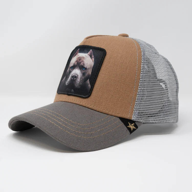 GOLD STAR HAT - PITBULL DOG TRUCKER HAT BROWN/GREY