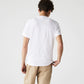 Men's Crew Neck Cotton T-shirt