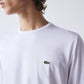 Men's Crew Neck Pima Cotton Jersey T-shirt
