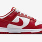 Nike Dunk Low USC Gym Red DD1391-602
